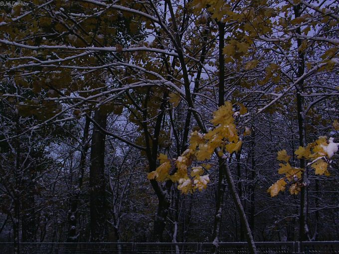 2003-10-24 17-41-25.jpg